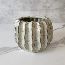Load image into Gallery viewer, The Leaferie Haruka plant pot. ceramic . front view
