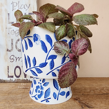 Load image into Gallery viewer, The Leaferie Liban plant pot . blue and white vase. front view with plant
