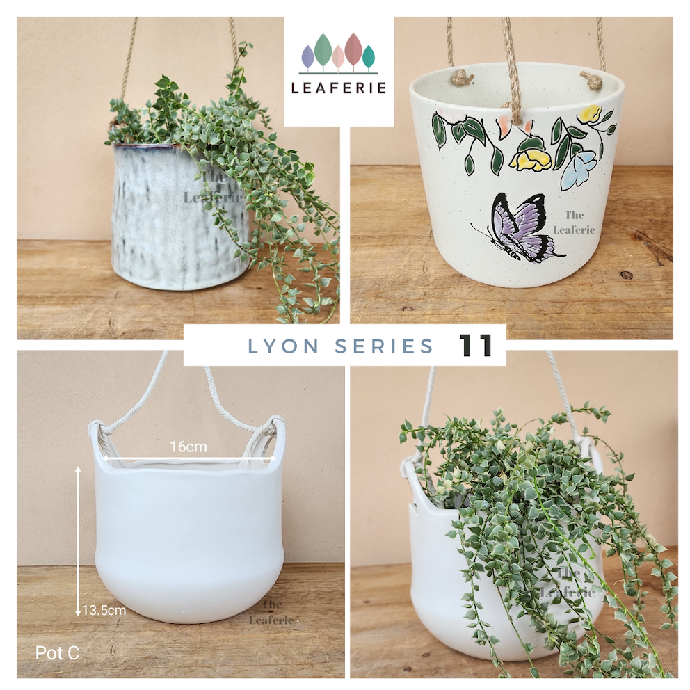 The Leaferie Lyon hanging pots series 11. 3 designs ceramic pot