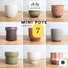 Load image into Gallery viewer, Mini Flowerpots (Series 7) 10cm
