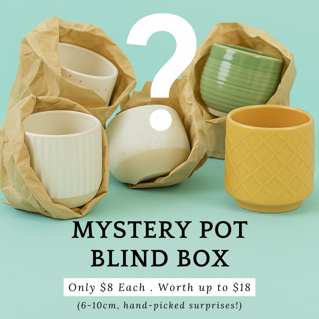 Mystery Pot Blind Box