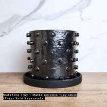 Load image into Gallery viewer, The Leaferie Nandita black pot with spikes. 2 sizes ceramic pot
