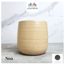 Load image into Gallery viewer, Noa Flowerpot

