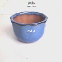 Load and play video in Gallery viewer, Bonsai Flowerpot (Series 32)
