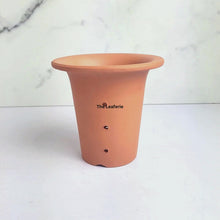 Load and play video in Gallery viewer, Luiz Hollow Terracotta Flowerpot with holes (Suitable for Orchid)
