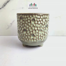 Load and play video in Gallery viewer, The Leaferie Terra crate ceramic pot with legs
