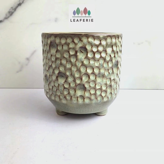 The Leaferie Terra crate ceramic pot with legs