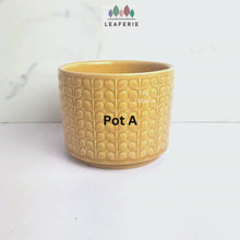 Load and play video in Gallery viewer, Mini Flowerpot (Series 10) 10cm
