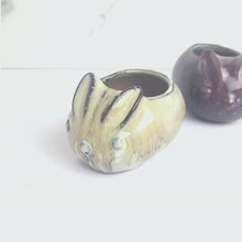 Load and play video in Gallery viewer, Allie Animal Flowerpot (Series 4)
