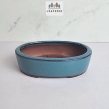 Load and play video in Gallery viewer, Petit Bonsai Pot (Series 14) Oval
