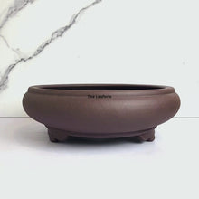 Load and play video in Gallery viewer, Bonsai Flowerpot (Series 49)
