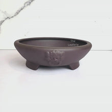 Load and play video in Gallery viewer, Bonsai Flowerpot (Series 54)
