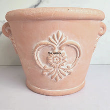 Load and play video in Gallery viewer, York Terracotta Big Flowerpot
