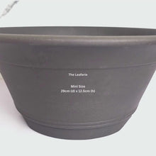 Load and play video in Gallery viewer, Bonsai Flowerpot (Series 36) 2 sizes
