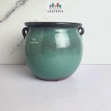 Load and play video in Gallery viewer, Sanrevelle Flowerpot (3 colours)
