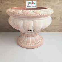 Load and play video in Gallery viewer, Yulia Big Terracotta Flowerpot (2 designs)
