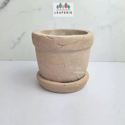 The Leaferie Yaritza Terracotta pot with tray