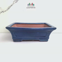 Load and play video in Gallery viewer, Bonsai Tally Flowerpot (Series 3)
