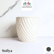 Load image into Gallery viewer, Sofiya Flowerpot
