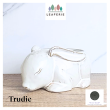 Load image into Gallery viewer, Trudie Rabbit Flowerpot
