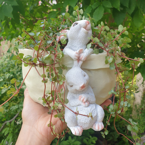 The Leaferie Beatrix bunny or rabbit flowerpot. front view with plant
