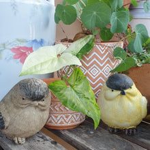 Load image into Gallery viewer, Birds Garden Decorations (Set of 6 birds)
