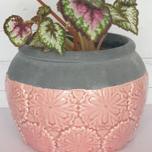Load image into Gallery viewer, Fiore Flowerpot
