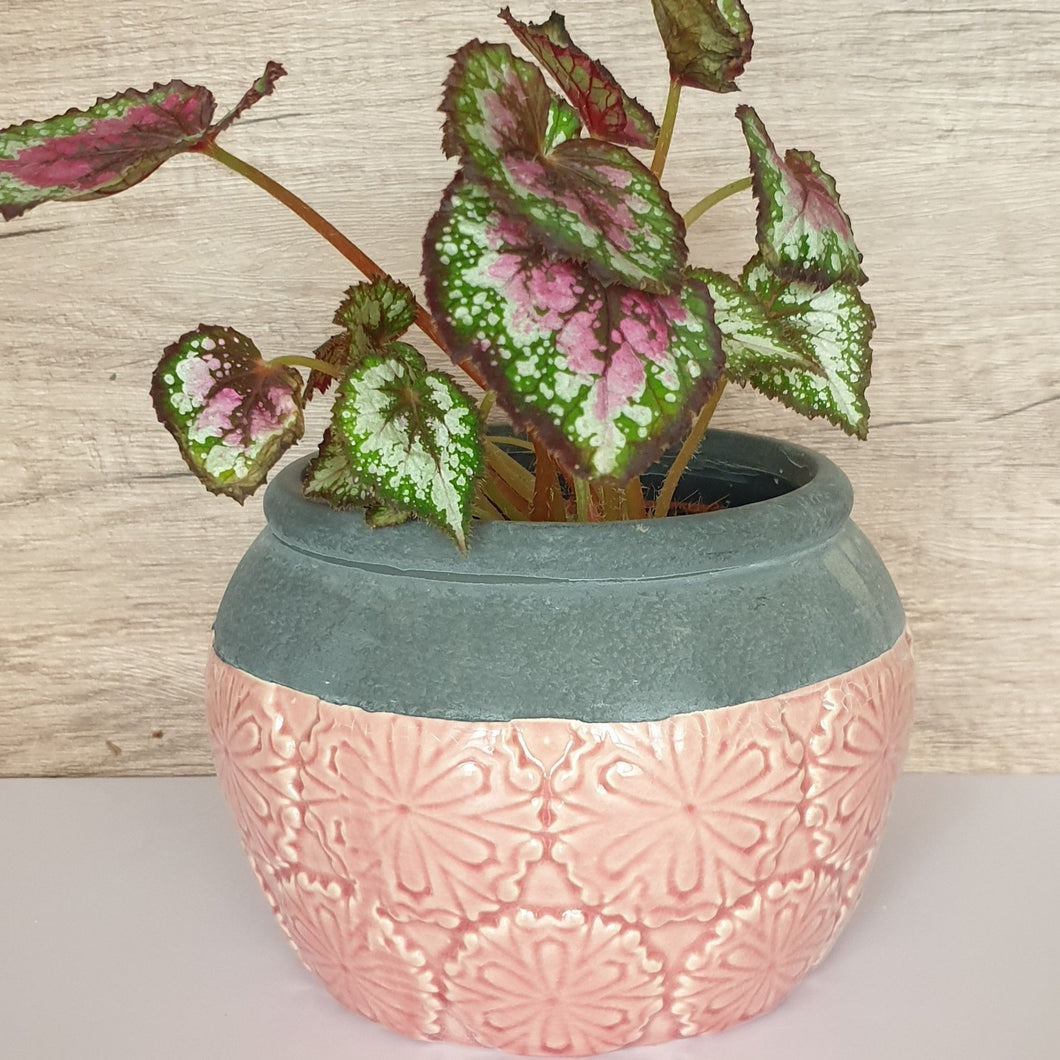 Fiore Flowerpot