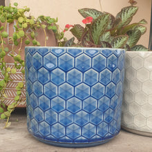 Load image into Gallery viewer, The Leaferie Diamante pot. ceramic 3 colours grey, blush and blue . front view of blue
