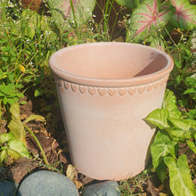Load image into Gallery viewer, Tuscany Terracotta Pot
