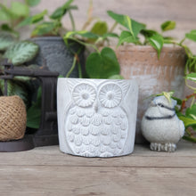 Load image into Gallery viewer, The Leaferie chouette cement plant pot . owl face flowerpot. front view
