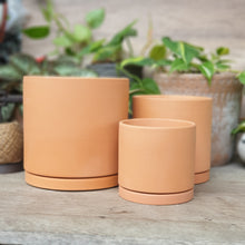 Load image into Gallery viewer, The Leaferie Terracotta Trio E flowerpot. 2 sizes. comes with matching tray. front view of 3 sizes
