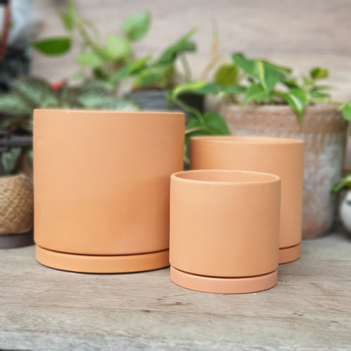 The Leaferie Terracotta Trio E flowerpot. 2 sizes. comes with matching tray. front view of 3 sizes