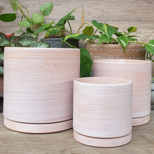The Leaferie Terracotta pot. 3 sizes . comes with matching tray. Front view of all 3 pots