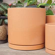Load image into Gallery viewer, The Leaferie Terracotta Trio E flowerpot. 2 sizes. comes with matching tray. front view of Maxi size
