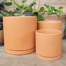 Load image into Gallery viewer, The Leaferie Terracotta Trio E flowerpot. 2 sizes. comes with matching tray. front view
