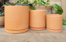 Load image into Gallery viewer, The Leaferie Terracotta Trio E flowerpot. 2 sizes. comes with matching tray. front view
