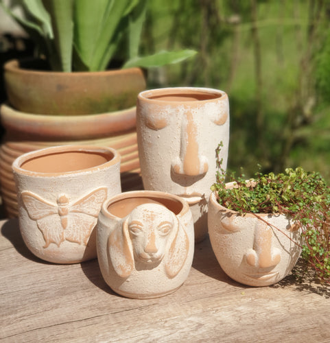 The Leaferie Rapanui terracotta pot