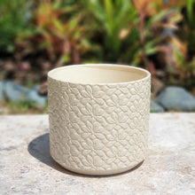 Load image into Gallery viewer, The Leaferie Babylon pot . front view . white ceramic pot 
