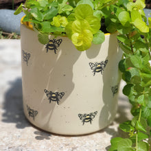 Load image into Gallery viewer, The Leaferie Bumblebee plant pot . front view . ceramic bee planter. close up
