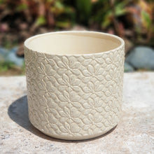 Load image into Gallery viewer, The Leaferie Babylon pot . front view . white ceramic pot with plant. close up
