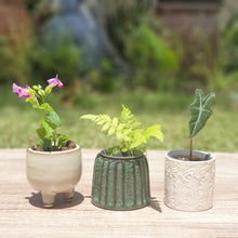 Load image into Gallery viewer, Petit Allegra Pots Series 1
