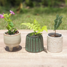 Load image into Gallery viewer, Petit Allegra Pots Series 1

