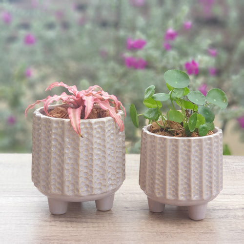 The Leaferie Matera ceramic flowerpot with legs