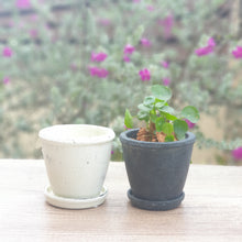 Load image into Gallery viewer, Checkmate Pot
