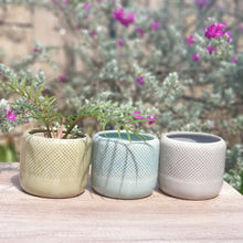 Load image into Gallery viewer, The Leaferie Thanos ceramic pot. 3 colours
