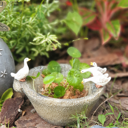 The Leaferie Puddles duck duckling flowerpot. resin material