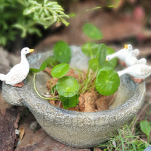 Load image into Gallery viewer, The Leaferie Puddles duck duckling flowerpot. resin material
