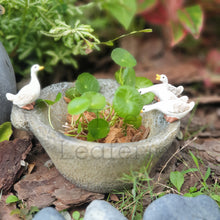 Load image into Gallery viewer, The Leaferie Puddles duck duckling flowerpot. resin material
