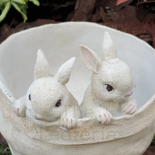 Load image into Gallery viewer, The Leaferie Lola Bunny flowerpot . resin material. 2 bunnies top view
